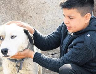 Dog saves child from rubble