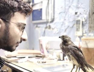 Oscar shorts highlight man’s destruction of planet