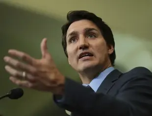 Canadian official to examine Chinese election interference