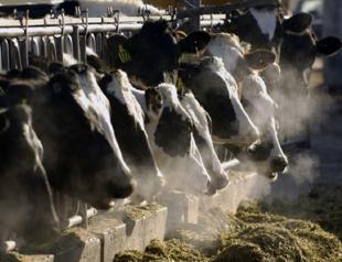 Global food system emissions imperil Paris climate goals
