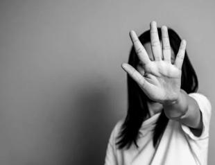 Law on domestic violence a redline: Minister