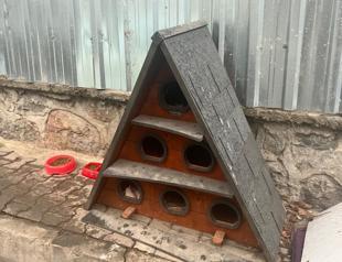 Many cats poisoned, some kittens brutally murdered in Istanbul