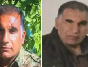 MİT ‘neutralizes’ senior PKK member