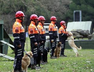 Armed forces’ search dogs awarded for rescuing 78 people