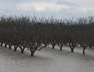 Ghost lake set to reappear as California hit again by rain