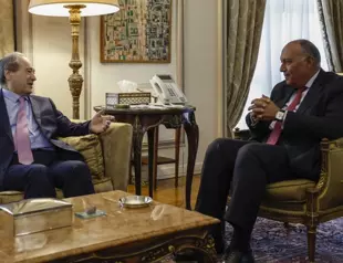 Syria top diplomat visits Egypt in first since war