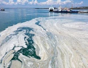 New formation of mucilage likely in Marmara Sea: Experts