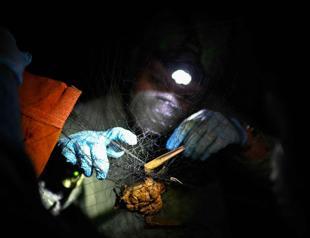 Overfishing threatens way of life in Bahamas