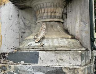 Snake statue of Galatasaray High School missing