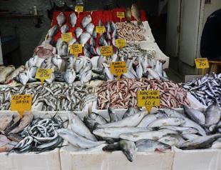 Fishing ban to start on April 15