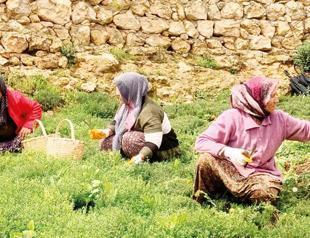 Women switch to online platforms to sustain business in quake zone