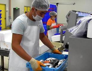 Türkiye’s aquaculture ranks first among EU nations