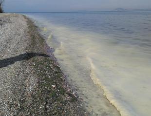 ‘Creamy mucilage’ spread over Marmara: Expert