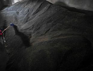 Poland allows transit of Ukrainian grain