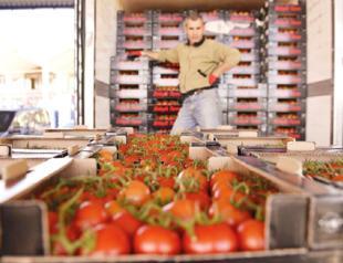 Russia raises Turkish tomato import quota