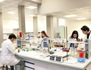 Bovine aortas to be used in humans