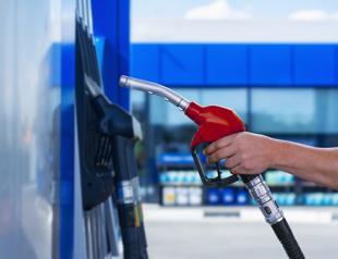 Oil imports increase slightly in February