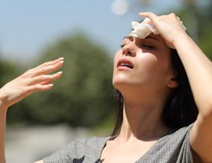 Global warming may increase cardiovascular cases: Experts