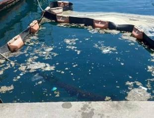 Academics find solution to mucilage invasion in Marmara Sea