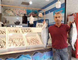 Fish market reopens in quake-hit city