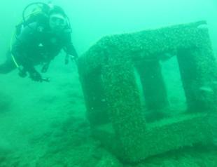 ‘Blue Roads’ identified in Black Sea for diving tourism