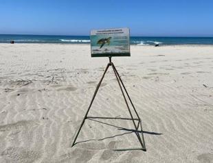 Holidaymakers on ATVs spark concern for sea turtles