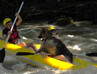 Rafting track attracts thousands every year