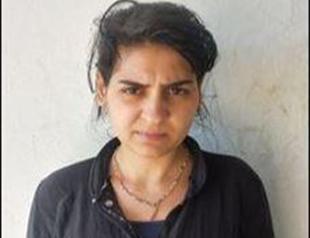 MİT capture PKK member trying to enter Türkiye