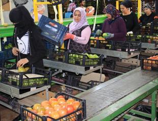 Talks on minimum wage hike set to start this week