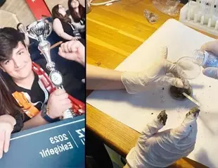 Students produce paper from cow dung manure