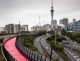 New Zealand economy tips into recession