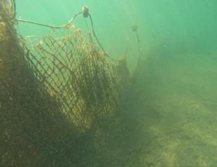 50,000 square meters of ghost net removed in Balıkesir