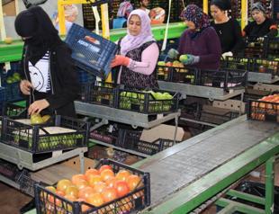 Commission discusses minimum wage hike