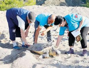 3 volunteers protect sea turtles’ nests for 25 years