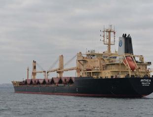 32 mln tons pass through grain corridor: Minister