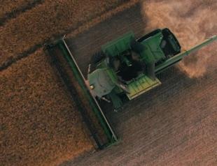 Crop yield decreases as seasons shift: Expert