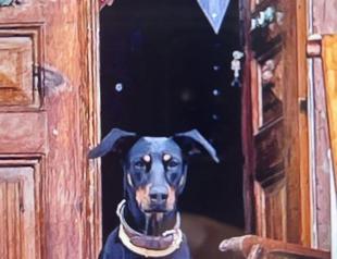 Search continues for missing retired economist