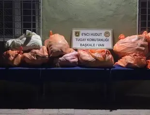 Over 340 kilograms of drugs seized at border