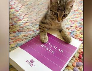 Legal experts publish book on animal rights