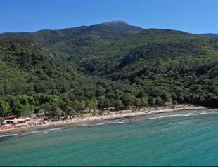 28 suspects, including public officials, nabbed in bribery op