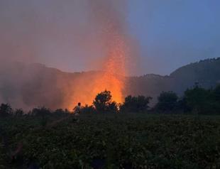 Forest fire in Mersin extinguished after 6 hours