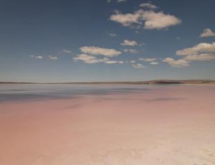 Salt Lake turns pink as microorganisms thrive