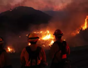 Record heatwaves sweep the world, from US to Europe and Asia