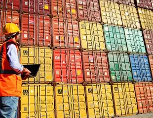 Turkish economy resilient to global challenges, says VP Yılmaz