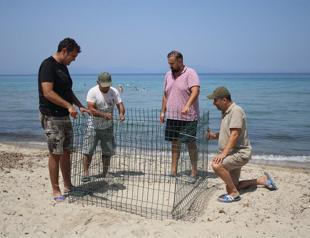 Locals raise concerns as tourists ignore measures for sea turtles