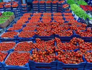 Russia raises tomato import quota from Türkiye