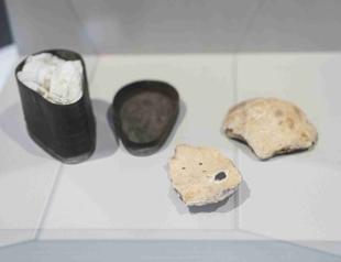 Presumed Beethoven skull fragments return to Vienna