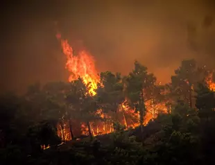 Greece races to tackle wildfires as winds set to resume