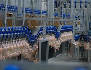 Retail sector mulls discount campaign to fight inflation