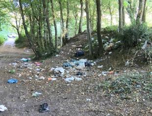 Heaps of trash removed from forest, beach